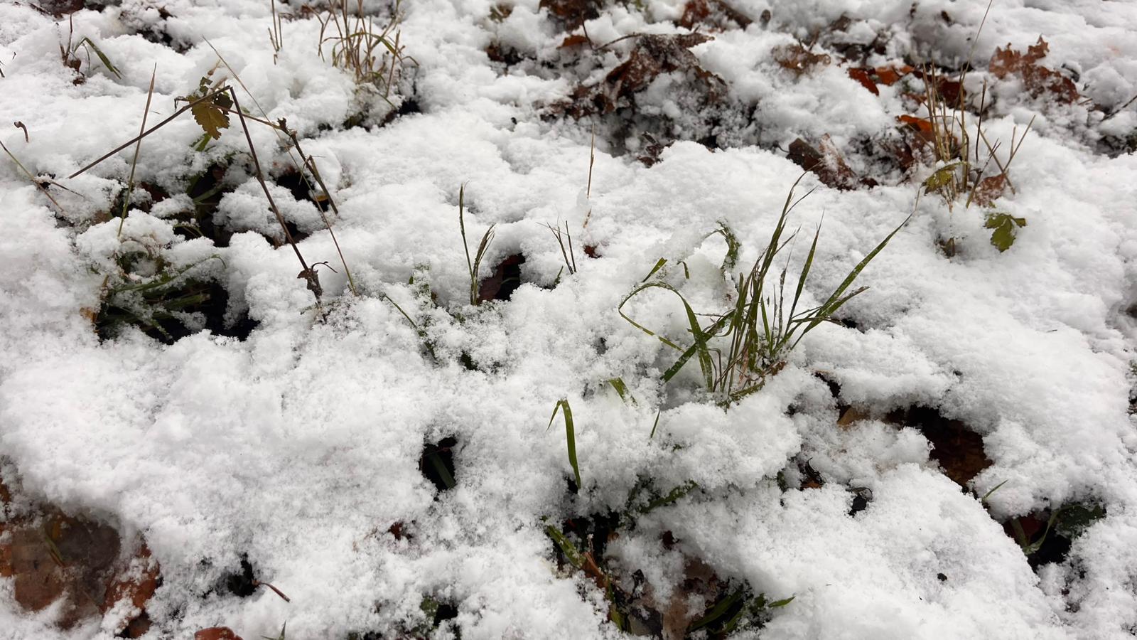 Luonto lepää, mikset sinäkin?